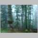 DSC00991.JPG