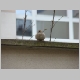 DSC06335.JPG