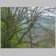 DSC07545.JPG