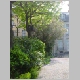 DSC07733.JPG