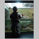DSC01215.JPG