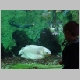 DSC01230.JPG