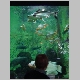 DSC01233.JPG