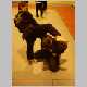 photo11.html