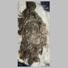 allauch-gravures-14.jpg