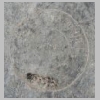 allauch-gravures-45.jpg