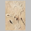 allauch-gravures-76.jpg