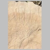 allauch-gravures-78.jpg
