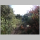 DSC00850.JPG
