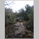 DSC00870.JPG