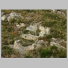 baou-de-quatre-auros-cap-gros-12.jpg