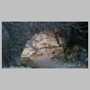 baou-de-quatre-auros-cap-gros-19-2.jpg