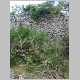 DSC05506.JPG