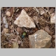 DSC05515.JPG
