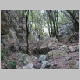 DSC05526.JPG