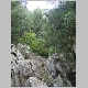 DSC05527.JPG