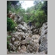 DSC05534.JPG
