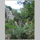 DSC05542.JPG