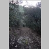 2015-01-07-rando-fontblanche-nige-barres-castellet-13.jpg