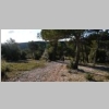2015-01-07-rando-fontblanche-nige-barres-castellet-17.jpg