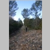 2015-01-07-rando-fontblanche-nige-barres-castellet-41.jpg