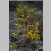 2015-01-07-rando-fontblanche-nige-barres-castellet-77.jpg