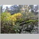 DSC08749.JPG