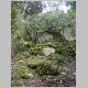 DSC08756.JPG