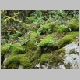 DSC08757.JPG