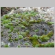 DSC08762.JPG