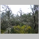 DSC08766.JPG