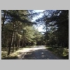 bonnieux-foret-des-cedres-portalas-58.jpg