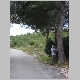 DSC00044.JPG