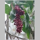 DSC00121.JPG