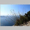 calanques-belvedere-titou-ninou-110.jpg