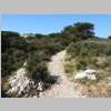 calanques-belvedere-titou-ninou-43.jpg