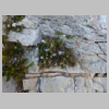 calanques-callelongue-grotte-saint-michel-d-eau-douce-18.jpg