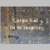 CIMG7163.JPG