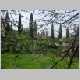 DSC13331.JPG