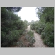 DSC05915.JPG