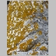 DSC05942.JPG