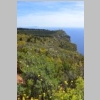 cassis-la-ciotat-cap-canaille-falaises-soubeyranes-68.jpg