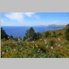 cassis-la-ciotat-cap-canaille-falaises-soubeyranes-79.jpg