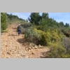 cassis-la-ciotat-cap-canaille-falaises-soubeyranes-92.jpg
