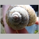 DSC03815.JPG