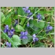 DSC02850.JPG