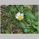 DSC02851.JPG