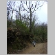 DSC02905.JPG
