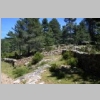 corse-evisa-sentier-des-chataigniers-piscines-aitone-18.JPG