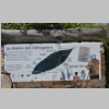 corse-evisa-sentier-des-chataigniers-piscines-aitone-3.JPG